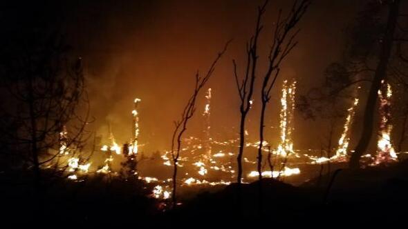 1 haftada aynı bölgede beşinci orman yangını