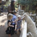 Antalya Hayvanat Bahçesine ziyaretçi akını