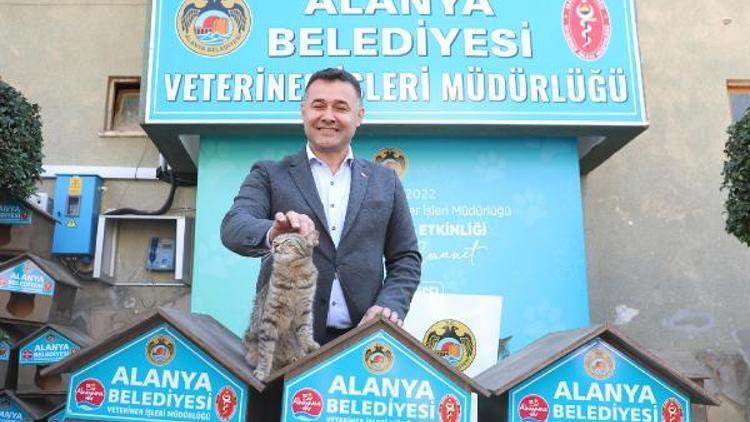 Başkan Yücel: Can dostlarımız için özveriyle çalışmalarımızı sürdürüyoruz