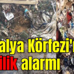 Antalya Körfezi'nde kirlilik alarmı