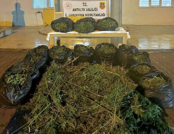 Antalya'da operasyon