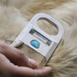 Hayvan sahiplenenlere çipli takip