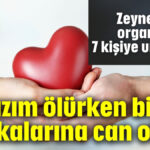 'Kızım ölürken bile başkalarına can oldu'