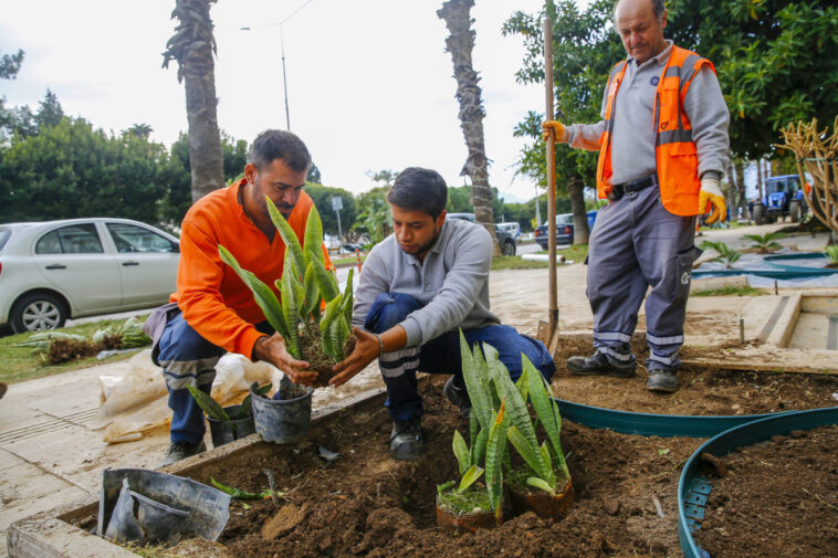 Kuraklığa karşı peyzaj çalışması
