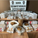 Serik'te kaçak tütün operasyonu