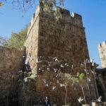 Üçkapılar'da temizlik başlıyor