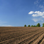 Yabancılar bu yöntemle de vatandaş olacak