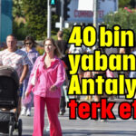 40 bin yabancı Antalya'yı terk etti
