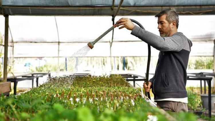 Konyaaltında 2024te hedef 300 bin çiçek