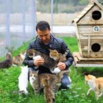 Büyükşehirden can dostlara modern bakım ev hizmeti