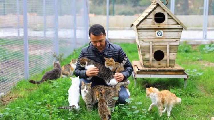Büyükşehirden can dostlara modern bakım ev hizmeti