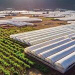 Kayıt dışı seralara düzenleme geliyor