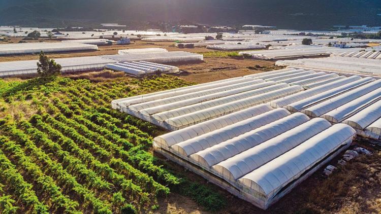 Kayıt dışı seralara düzenleme geliyor