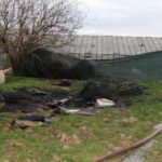 Boş arazide yanan kanepelere itfaiye müdahalesi