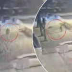 Ankara'da çantalı şüpheli paniği