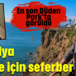 Antalya Merve için seferber oldu