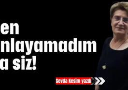 Ben anlayamadım ya siz !…