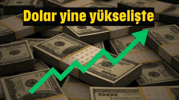 Dolardan yeni rekor!
