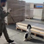 Gümrüklerde 5 buçuk milyar liralık uyuşturucu ele geçirildi