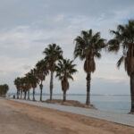 Konyaaltı sahilinde yeni bir yaşam alanı