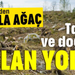 Tarihi ve doğayı talan yolu