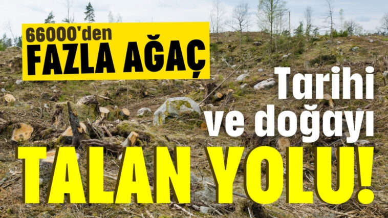 Tarihi ve doğayı talan yolu