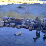 Yaban hayatına OYAK Çimento morali