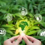 323 firma yeşil enerjiye geçiş belgesi aldı