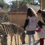 Yarıyıl tatilinde Doğal Yaşam Parkına yoğun ilgi