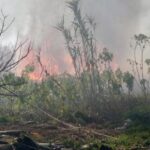 Kargılık yangınını itfaiye büyümeden söndürdü