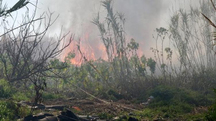 Kargılık yangınını itfaiye büyümeden söndürdü