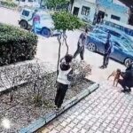 Önce köpeği çaldı, sonra sahibine ve polise bıçak çekti