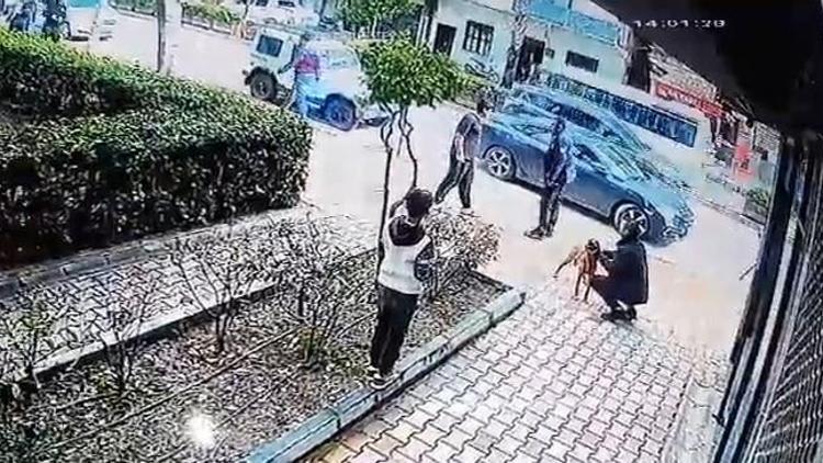 Önce köpeği çaldı, sonra sahibine ve polise bıçak çekti