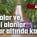 Aksu'da seralar ve ekili alanlar sular altında kaldı