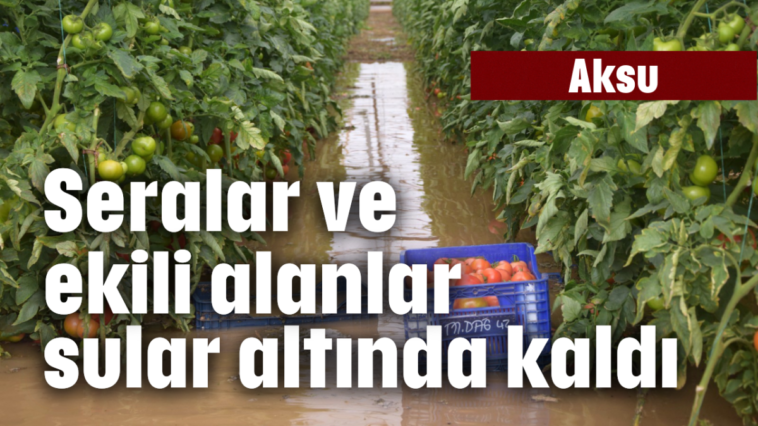 Aksu'da seralar ve ekili alanlar sular altında kaldı