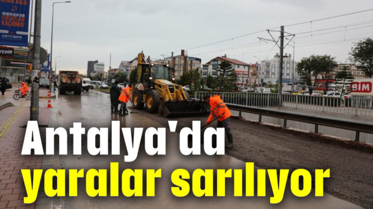 Antalya'da yaralar sarılıyor