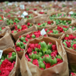 Antalya'dan Sevgililer Günü için 80 milyon dal çiçek ihraç ettik