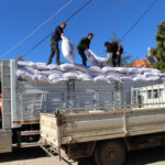 Büyükşehir'den üreticiye süt yemi desteği