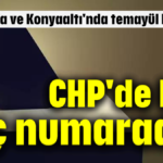 CHP'de kim kaç numarada?