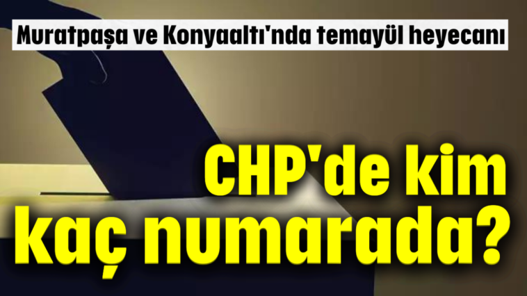 CHP'de kim kaç numarada?