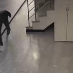 Daire kapısı önündeki spor ayakkabıyı böyle çaldı