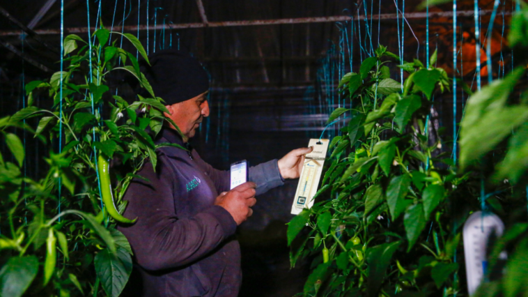 Dijital Tarım Projesi ile çiftçinin hayatı kolaylaşıyor