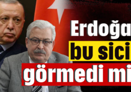 Erdoğan bu sicili görmedi mi?