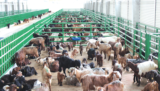 Et sıkıntısı kapıda