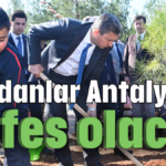 Fidanlar Antalya'ya nefes olacak