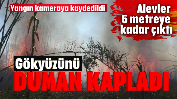 Güzeloba'daki yangında gökyüzünü duman kapladı