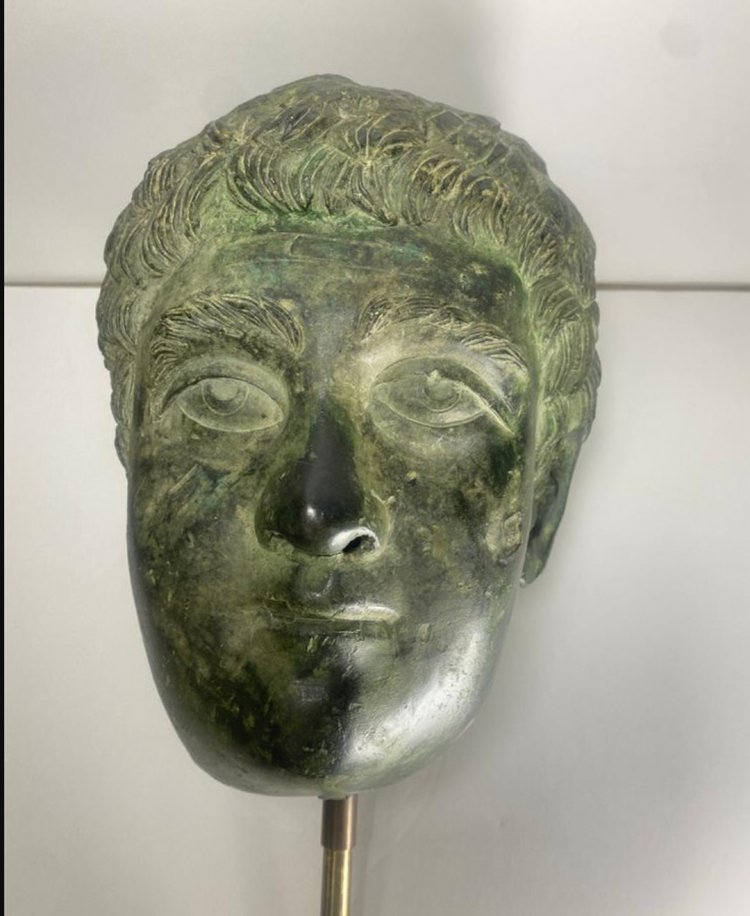 image_750x_65bce6a948e25-1