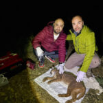 'Orman Hayaleti'ne 'Ayda' ismi verildi