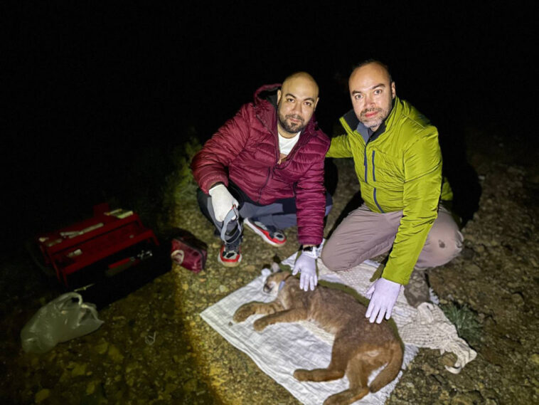 'Orman Hayaleti'ne 'Ayda' ismi verildi