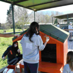 Sokak hayvanlarına öğrenci eli değdi